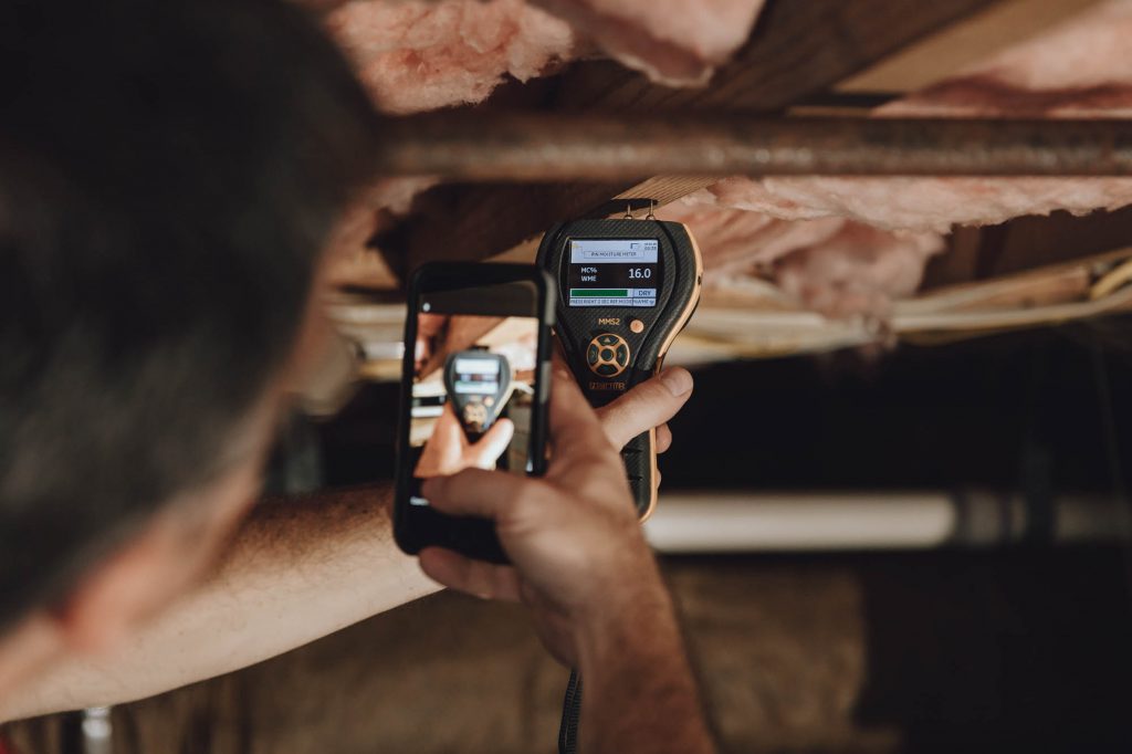 Mold Removal in Raleigh, North Carolina