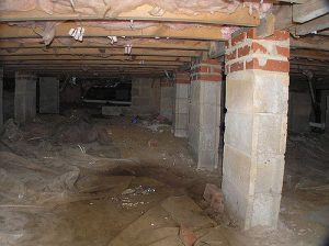 Crawl space showing moisture and potential mold conditions