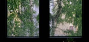 Window condensation that can promote mold growth