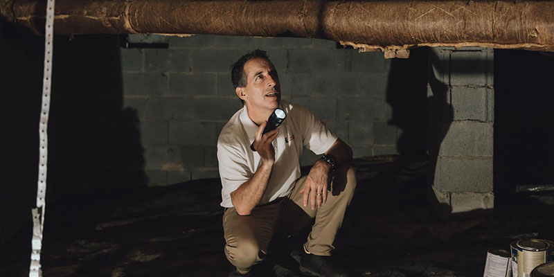 What to Do if You Have Crawlspace Mold