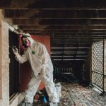 Mold Damage in Raleigh, North Carolina