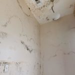 Look Out for These Lesser-Known Signs of Mold Damage