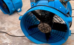 Key Elements of Flood Damage Restoration