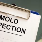 Mold Inspection