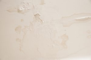 Telltale Signs of Water Damage in Your Home