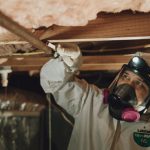 Black Mold Removal
