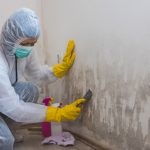 Mold Remediation