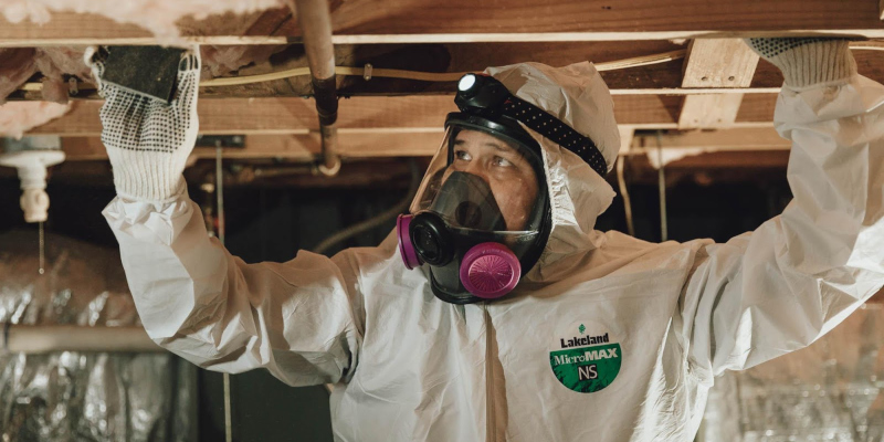What You Need to Know About Mold Remediation