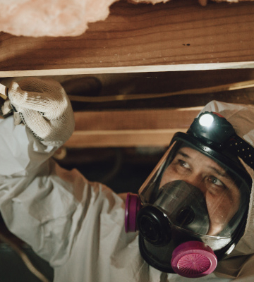 Black Mold Removal in Durham, North Carolina