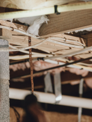 Crawlspace Mold in Durham, North Carolina
