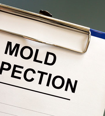 Mold Inspection in Durham, North Carolina
