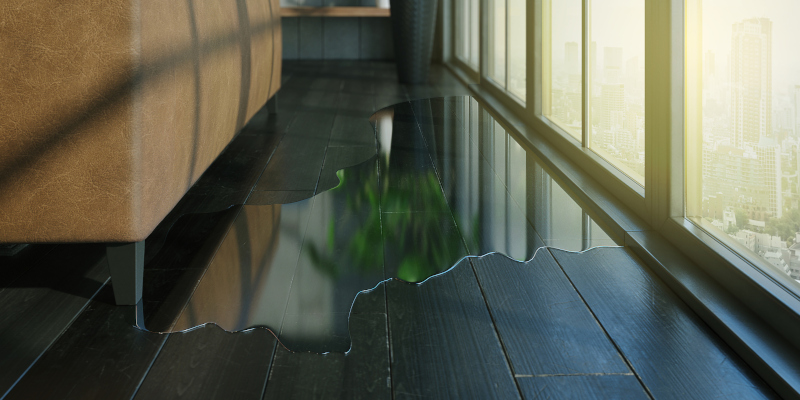 Why Water Damage Must Be Addressed Quickly