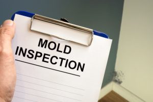 Signs You Need to Hire a Mold Inspection Service