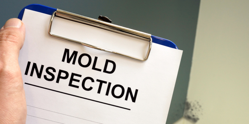 Signs You Need to Hire a Mold Inspection Service