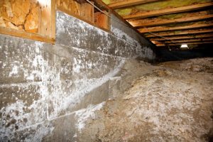 Why Is Crawlspace Mold So Common?