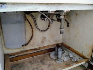 Common Household Problems That Can Lead to Mold Damage