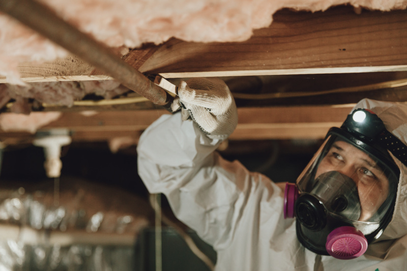 Crawlspace Mold in Raleigh, North Carolina