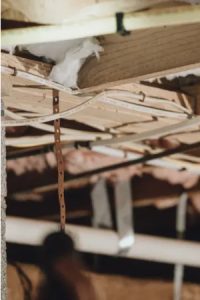 Crawlspace Mold in Raleigh, North Carolina