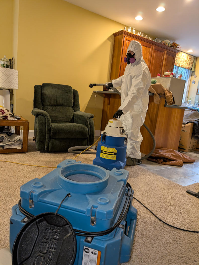 Asbestos Removal in Raleigh, North Carolina